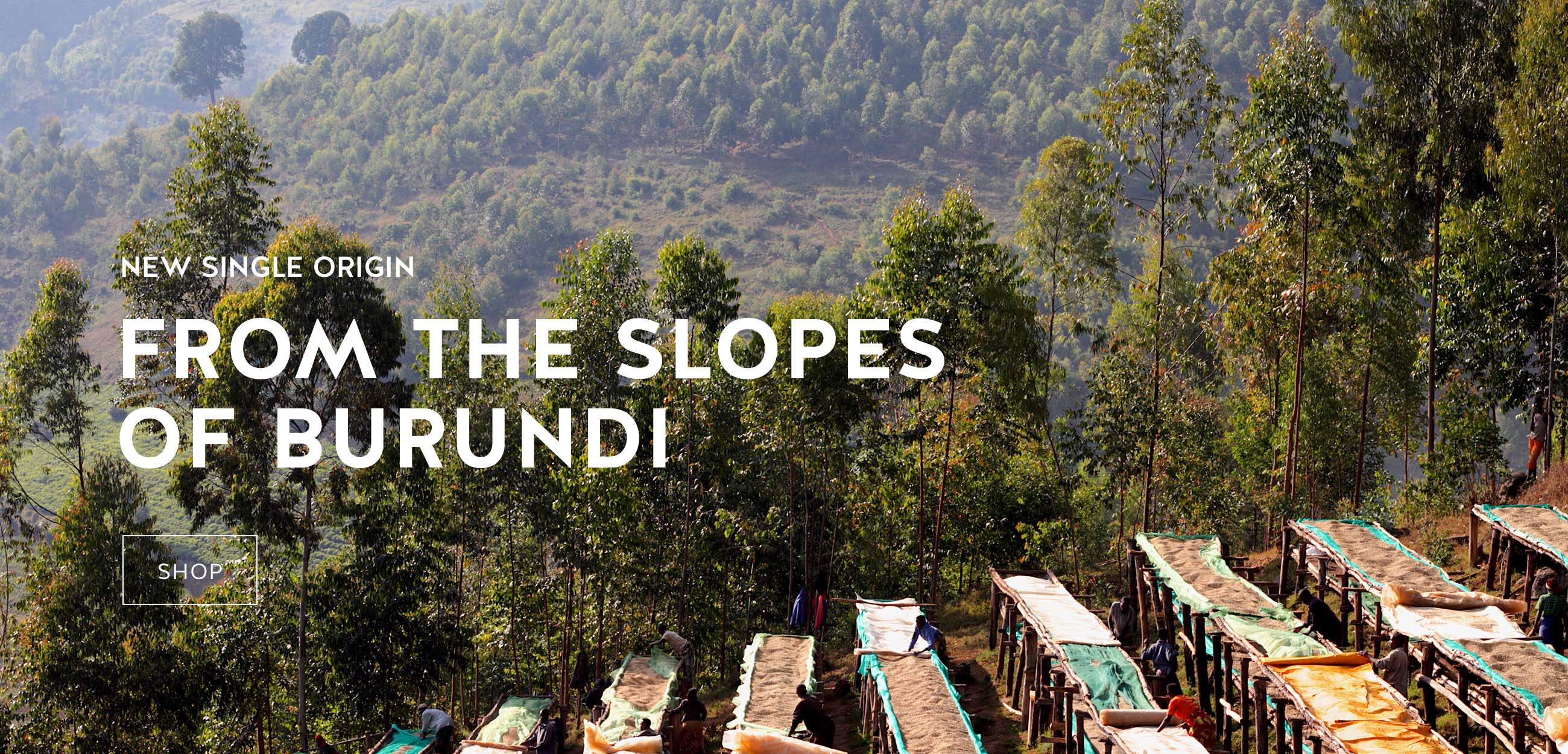 Ejyqvd48hrqkbcbj2xhd